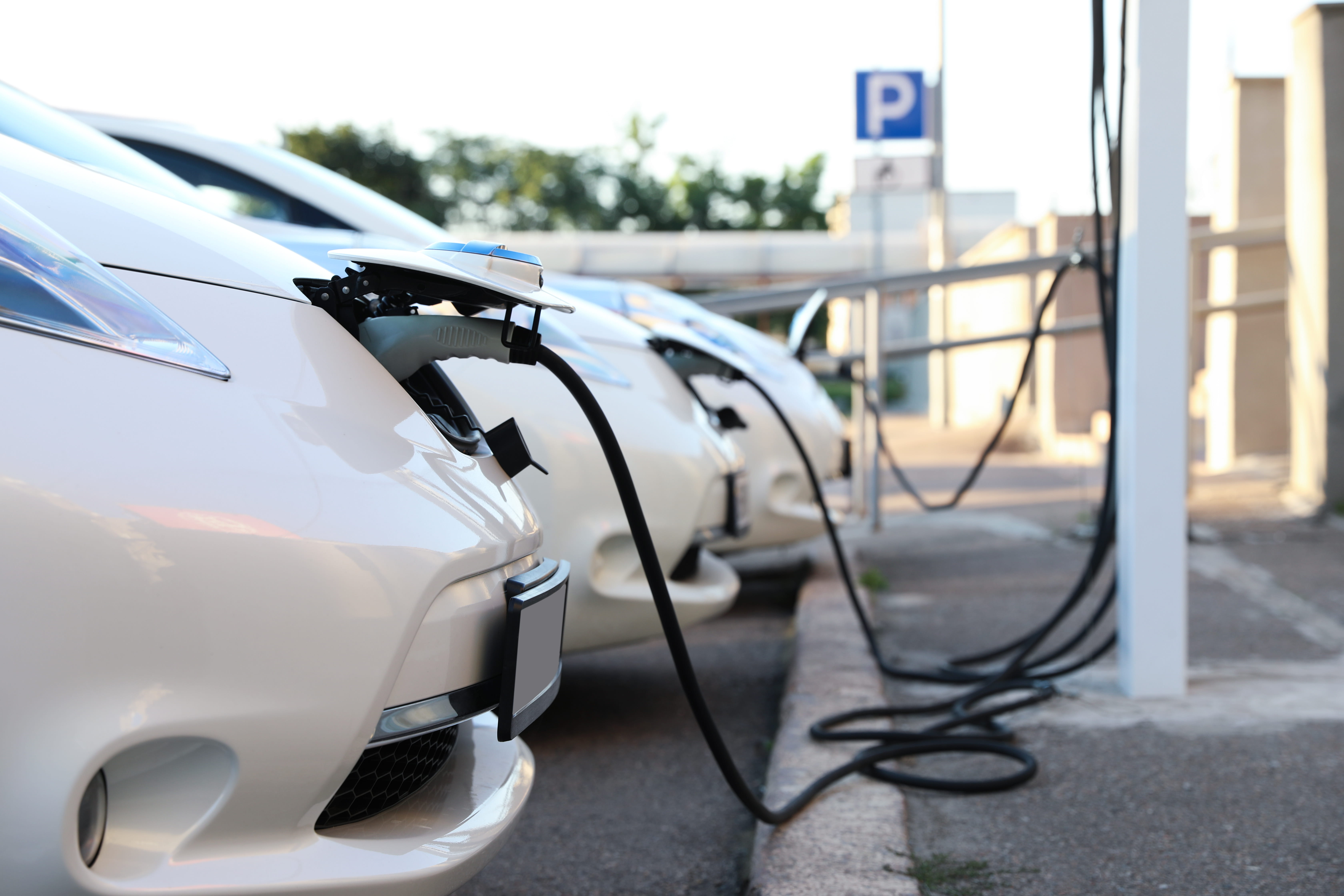 Business Car Insurance in South Africa
